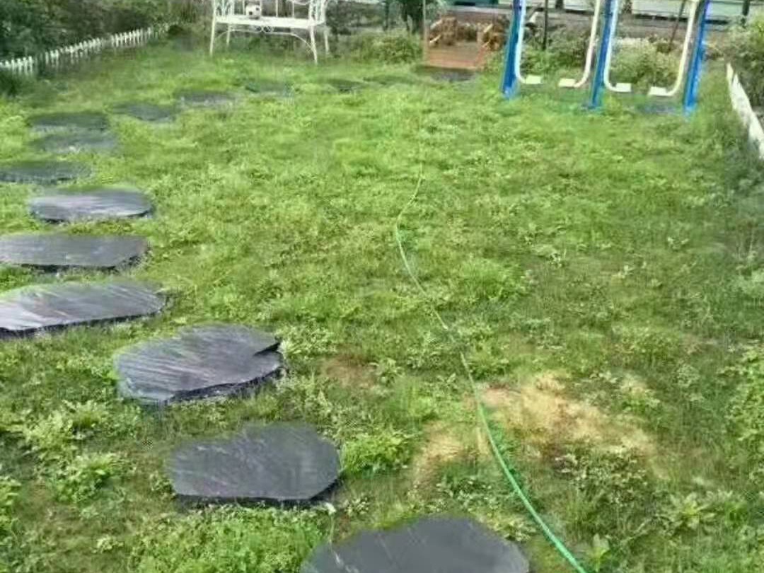不規則汀步石